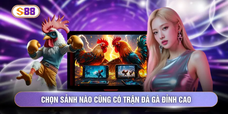 Chọn sảnh nào cũng có trận đá gà đỉnh cao