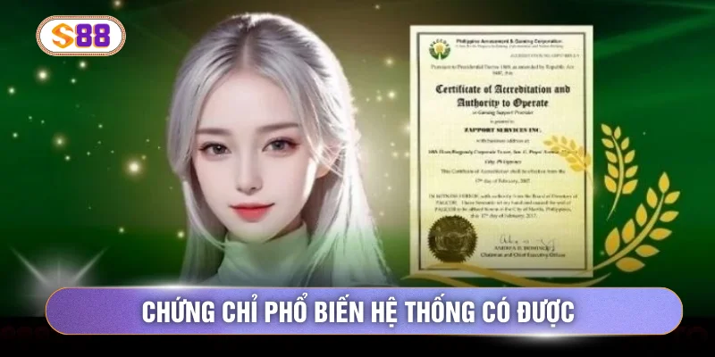 Chứng chỉ phổ biến hệ thống có được